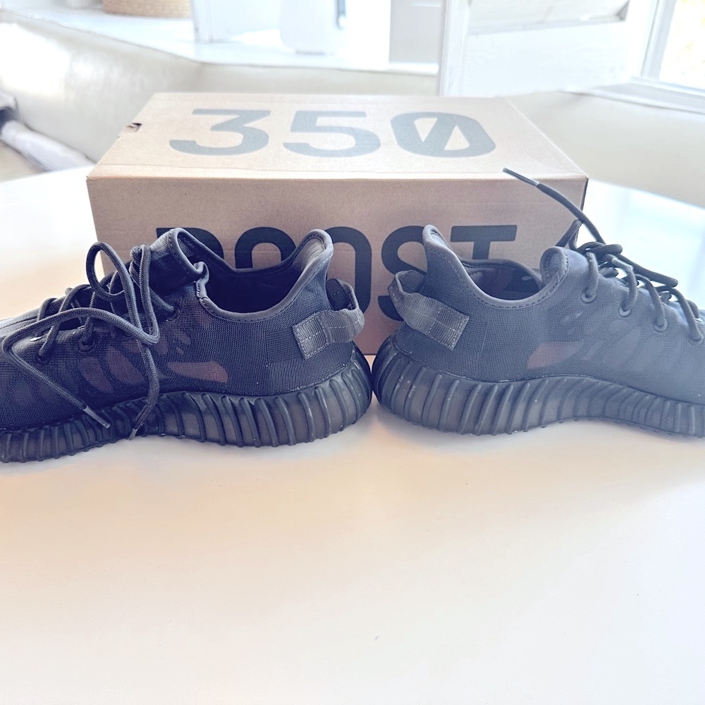 Yeezy 350 Boost - Picture 3 of 15